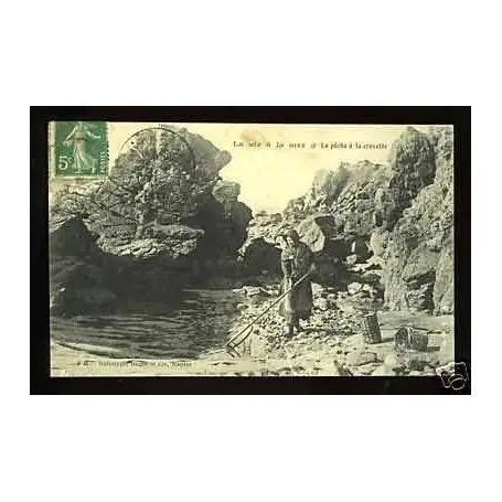 La vie a la mer - La peche a la crevette Meilleure Qualité