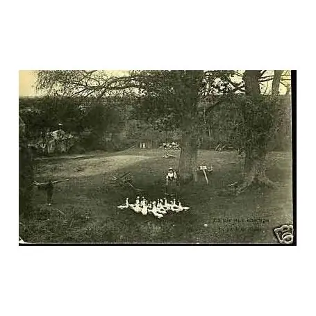 A la campagne - La vie des champs - Gardeuse d'Oies Prix Bas