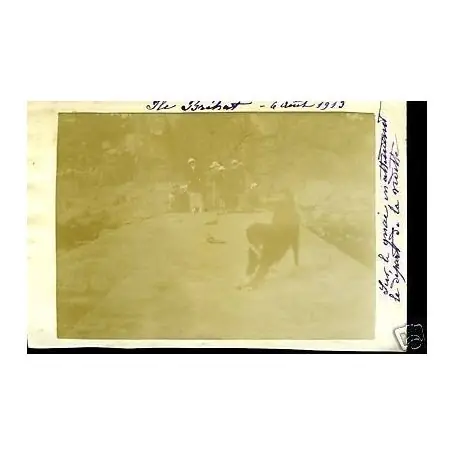 Populaire Carte-photo - Ile Brehat - Les quais (22) - 1913