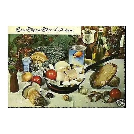 Carte Recette - Les cepes Ca´te d'Argent Expédié Aujourd’hui