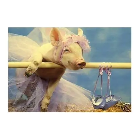 Cochonne en ballerine Nouvel Arrivage