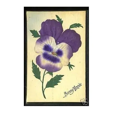 Édition Limitée Pensees en ajoutis - Bonne annee