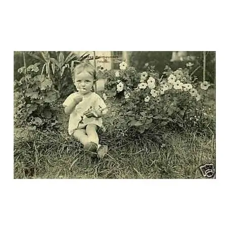 Petite frimousse au milieu des petunias Commander Maintenant