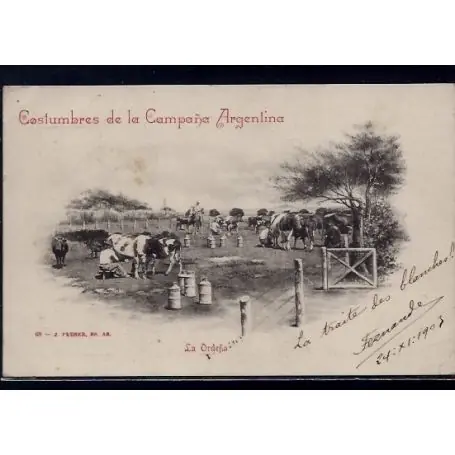 Gros Lot Argentine - Costumbres de la campana Argentina - La Ordena - La traite des vaches - 1903