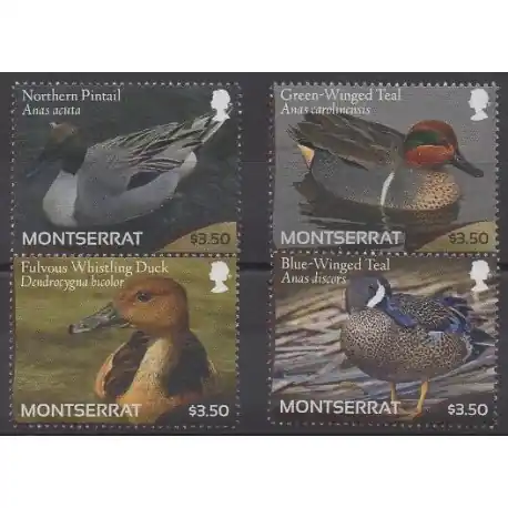 Certifié Montserrat - 2012 - No 1434/1437 - Oiseaux