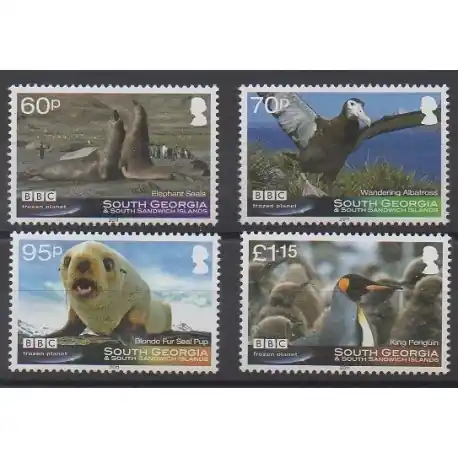 Offre Exclusive Falkland-Géorgie du Sud et Sandwich du Sud - 2011 - No 524/527 - Oiseaux