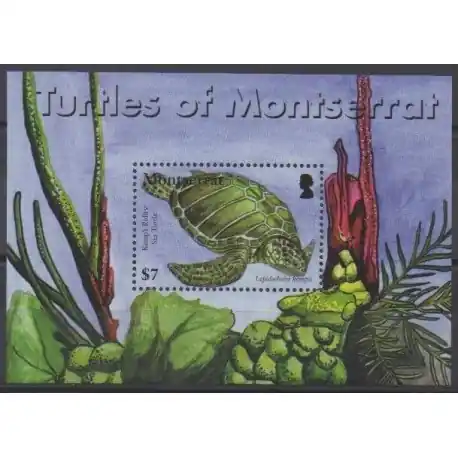 Montserrat - 2007 - No BF115 - Tortues Commander Vite