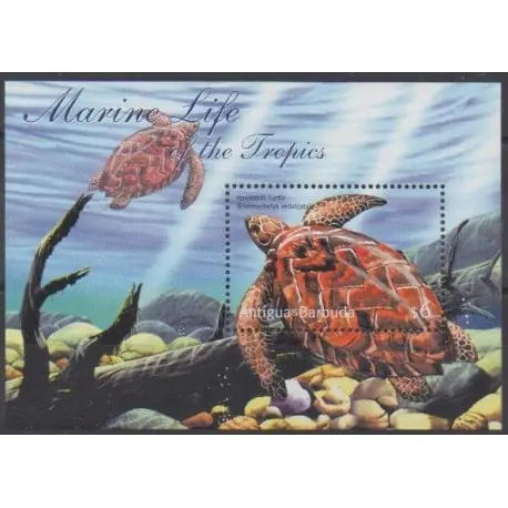 Achat Immédiat Antigua et Barbuda - 2001 - No BF488 - Tortues