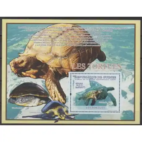 Guinée - 2009 - No BF981 - Tortues En Vogue
