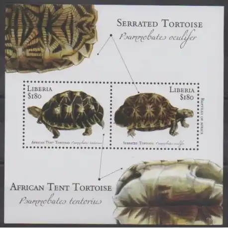 Liberia - 2011 - No BF615 - Tortues Meilleure Vente