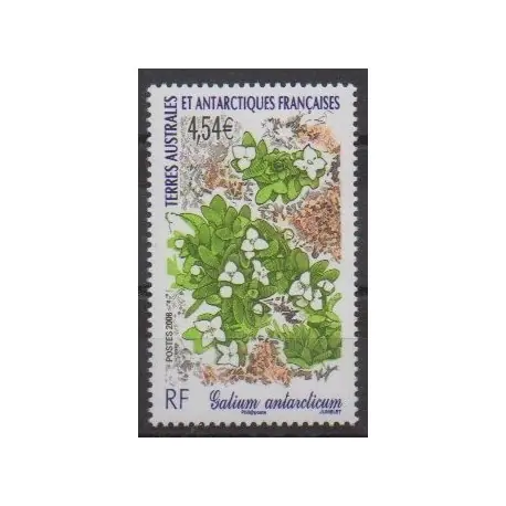 Top Qualité TAAF - 2008 - No 500 - Fleurs