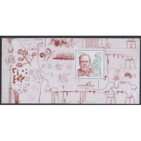 Vente Flash France - Bloc souvenir - 2022 - No BS188 - Santé ou Croix-Rouge