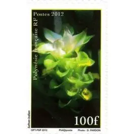 Timbre de collection Polynesie Francaise - 0988 Promotion