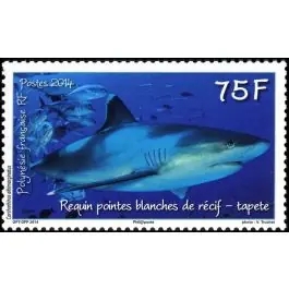 Timbre de collection Polynesie Francaise - 1067 Seulement Aujourd’hui