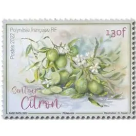 Dernier Modèle Timbre de collection Polynesie Francaise - 1308