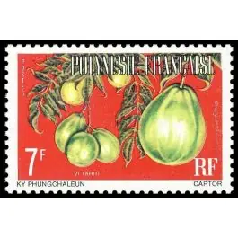 Timbre de collection Polynesie Francaise - Service 05B Nouveauté