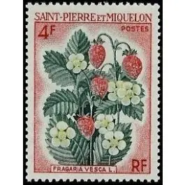 Exclusif Timbre de collection Saint-Pierre et Miquelon - 0402