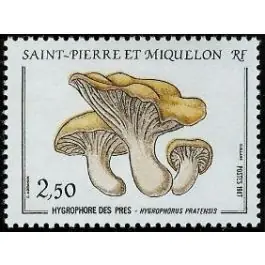 En Vogue Timbre de collection Saint-Pierre et Miquelon - 0475