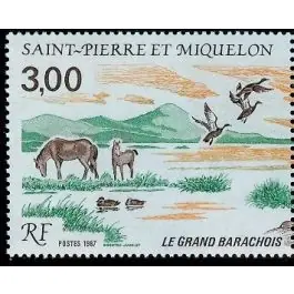 Timbre de collection Saint-Pierre et Miquelon - 0484 Nouveauté