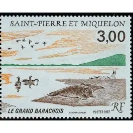 Timbre de collection Saint-Pierre et Miquelon - 0485 Achetez Aujourd’hui