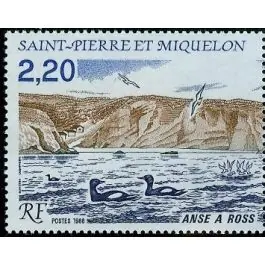 Timbre de collection Saint-Pierre et Miquelon - 0494 Vente Directe