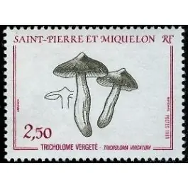 Timbre de collection Saint-Pierre et Miquelon - 0497 Édition Limitée