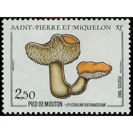 Timbre de collection Saint-Pierre et Miquelon - 0513 Bon Marché