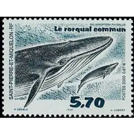 Timbre de collection Saint-Pierre et Miquelon - 0708 Satisfait Ou Remboursé