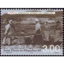 Timbre de collection Saint-Pierre et Miquelon - 0714 Promotion Saisonnière