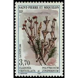 Timbre de collection Saint-Pierre et Miquelon - 0626 Paiement Sécurisé