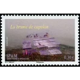 Timbre de collection Saint-Pierre et Miquelon - 0893 Expédition Rapide