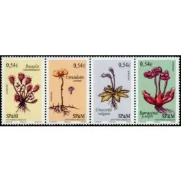 Timbre de collection Saint-Pierre et Miquelon - 0900A Édition Limitée