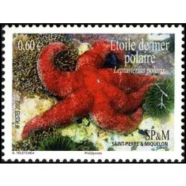 Bon Plan Timbre de collection Saint-Pierre et Miquelon - 1036