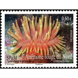 Timbre de collection Saint-Pierre et Miquelon - 1037 Gros Lot