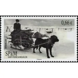 Timbre de collection Saint-Pierre et Miquelon - 1106 Nouvel Arrivage