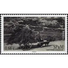 Timbre de collection Saint-Pierre et Miquelon - 1107 Prix Choc