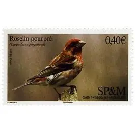 Dernière Chance Timbre de collection Saint-Pierre et Miquelon - 1148